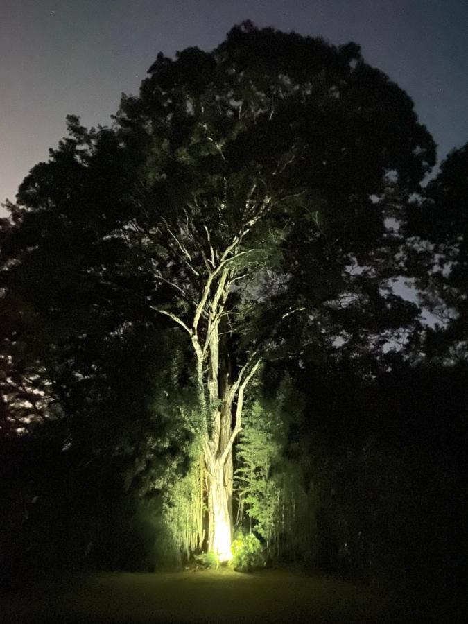 Recanto Da Floresta - Casa De Campo Em Secretario Petrópolis Exteriér fotografie