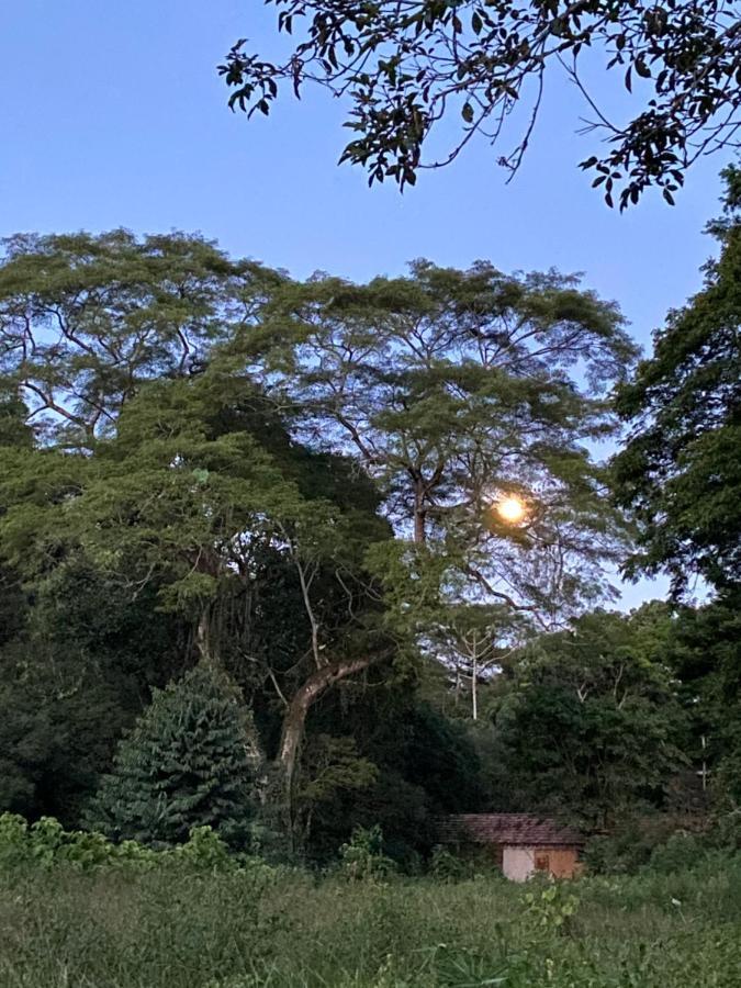 Recanto Da Floresta - Casa De Campo Em Secretario Petrópolis Exteriér fotografie
